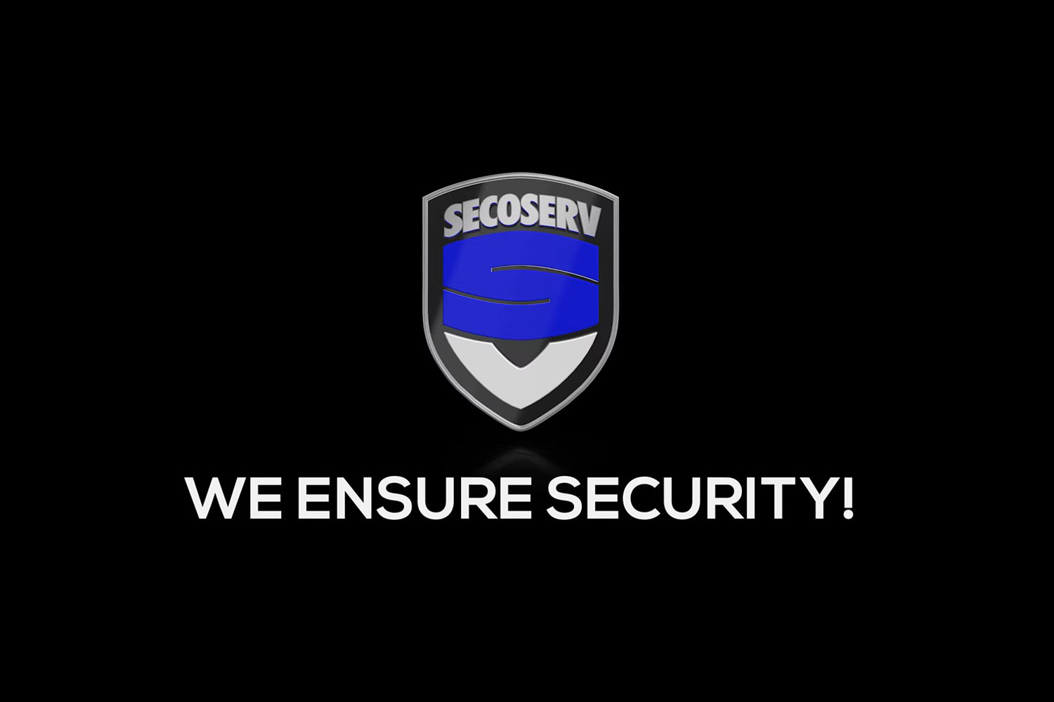 Logo der Firma Secoserv - We Ensure Security !
